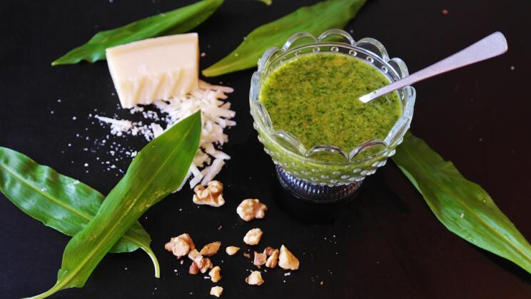 bears garlic 1300827 1280