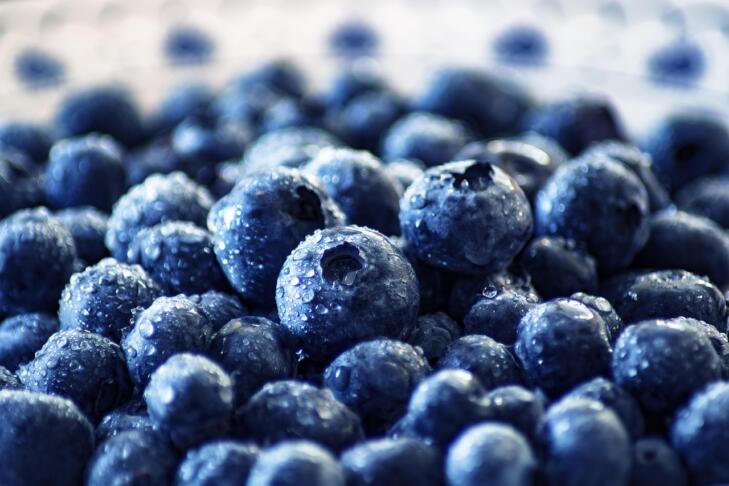 blueberries 3460423 1280