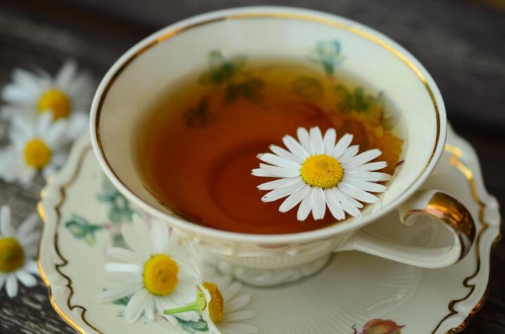 chamomile 829538 1280