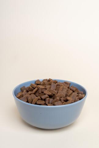 dry dog food 7336506 1280