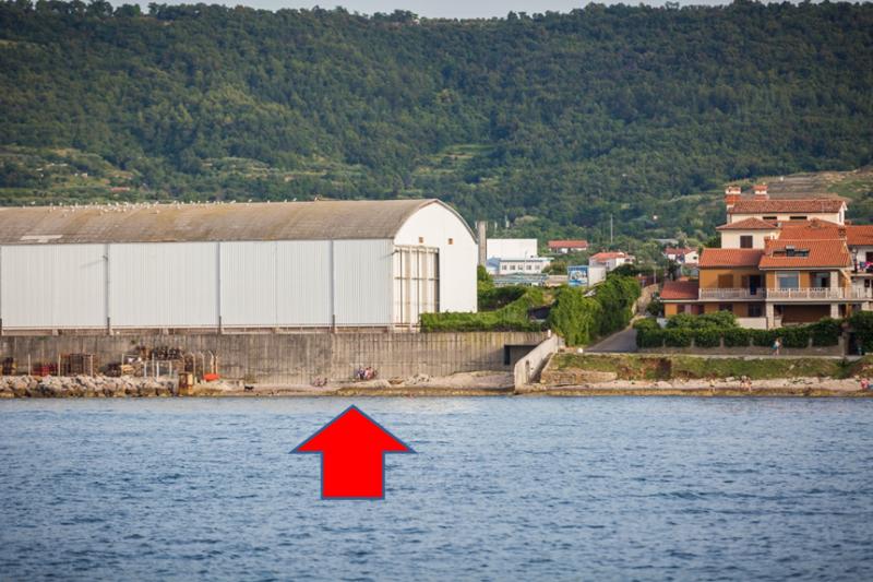 Pasje plaže na slovenski obali: 5 kotičkov, kjer lahko zaplava tudi vaš pes 10 pasja plaža kopanje psi hišni ljubljenčki morje izola