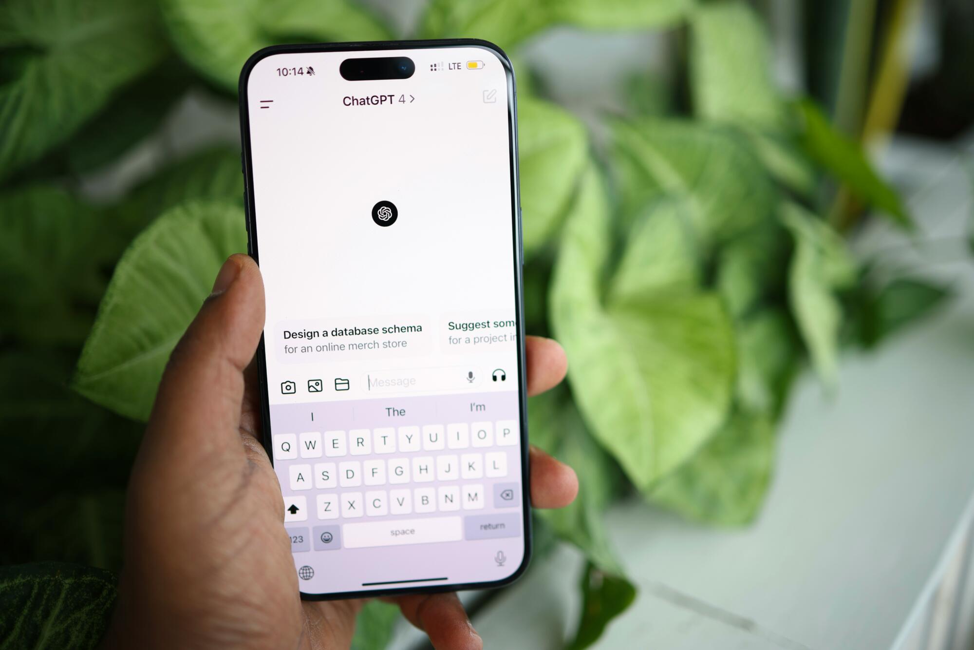 solen feyissa Aj7cDaR6QXs unsplash