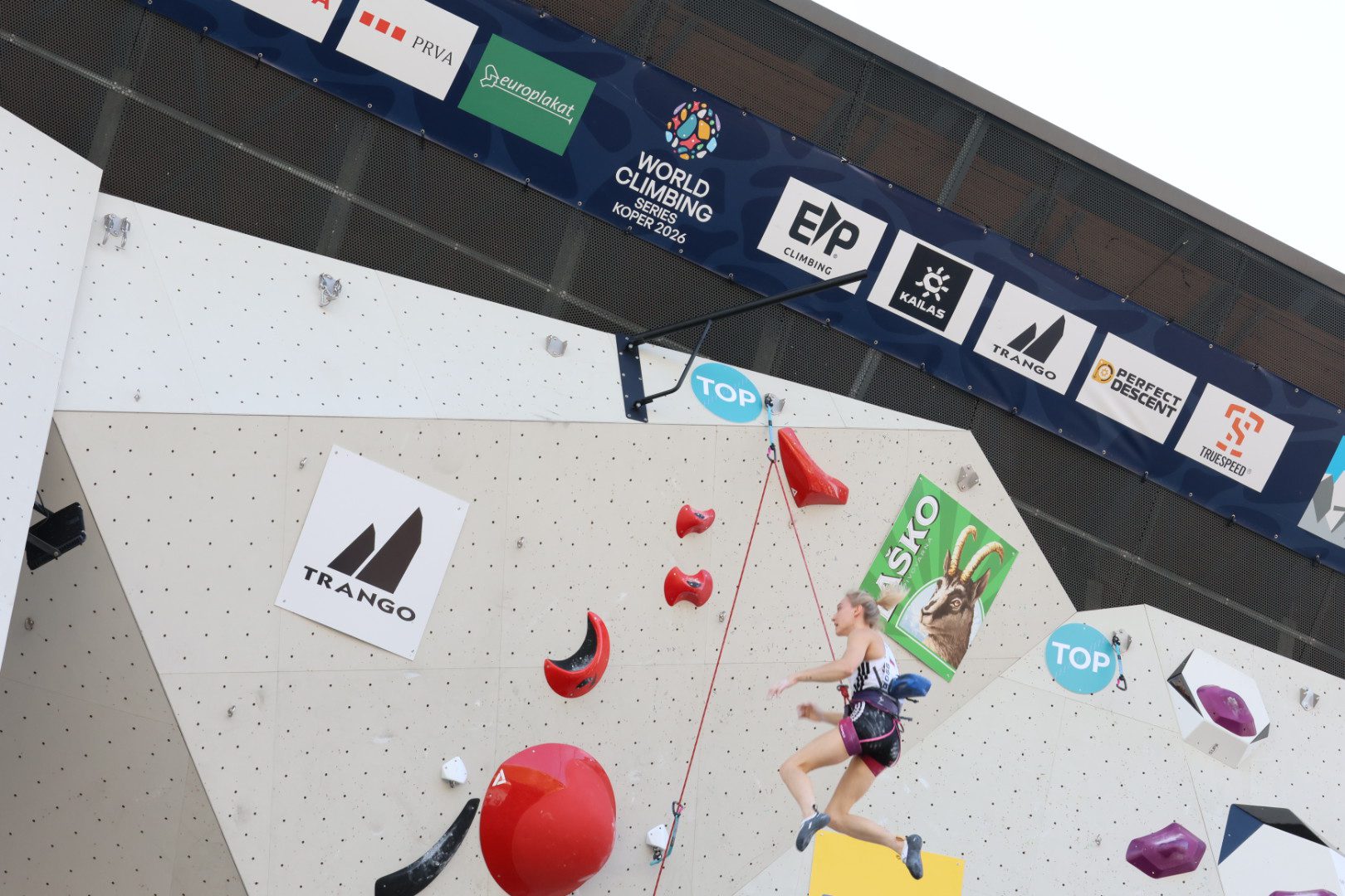 Janja Garnbret do vrha v Kopru! Slovenska šampionka brez težav skozi kvalifikacije (VIDEO in FOTO) 28 plezanje janja garnbret koper plezalna stena bonifika šport slovenija