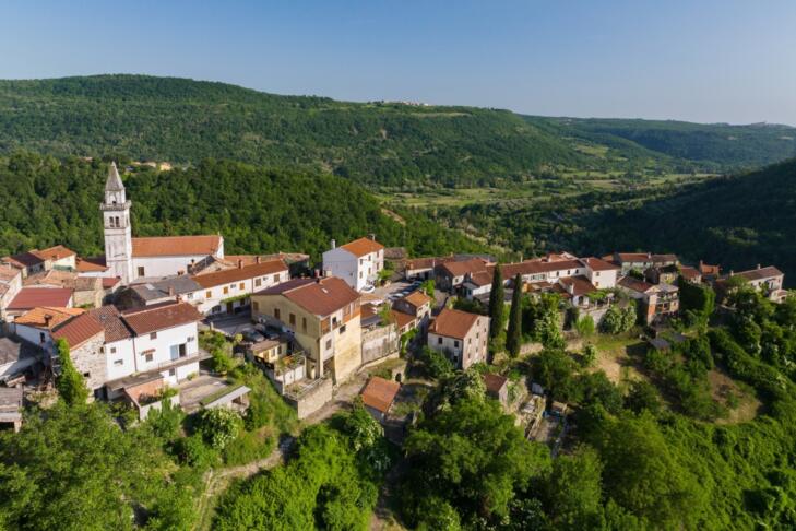krkavče
