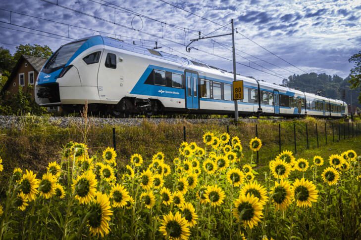 Sončnice, vlaki in ljudje: zgodba o povezovanju in trajnosti 7 ZEN26 2451 SEvnica mk X