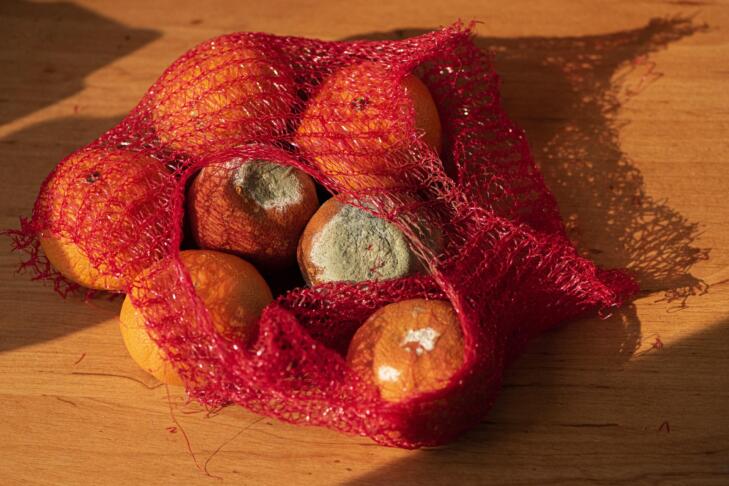 Ostanki hrane so lahko nevarni: teh 5 znakov ne spreglejte 3 shotrav fruits 5089628 1920