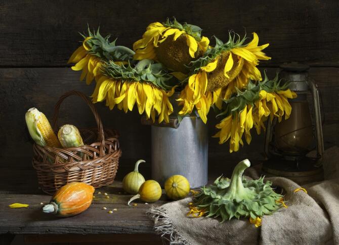 still life 851297 1280