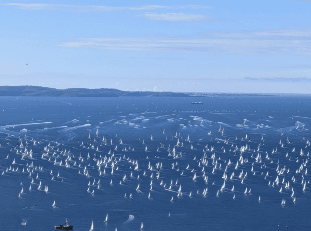 barcolana