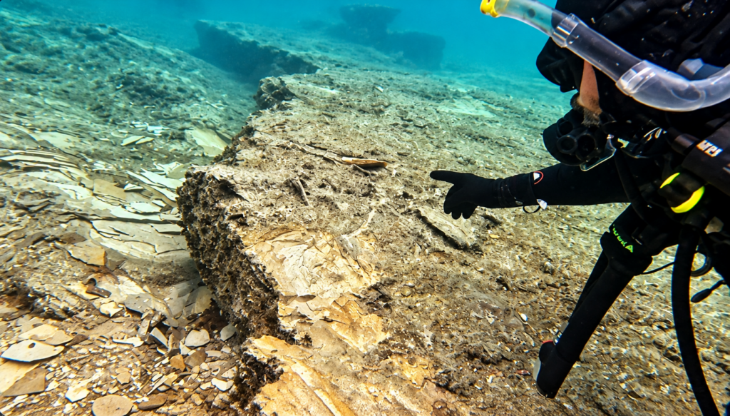 Underwater Archaeology Inspection