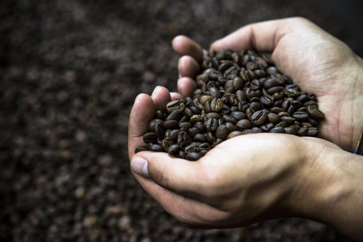 Koliko kave na dan je preveč? Meja je nižja, kot si morda mislite 2 martinagiuffrida30 coffe 4202577 1920