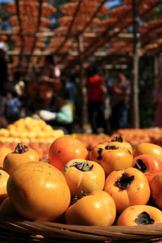 Za to čokoladno sladico potrebujete le dve sestavini 2 persimmon 4656176 1280